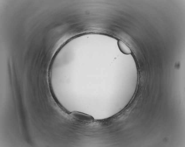 X0000091301283200709071045