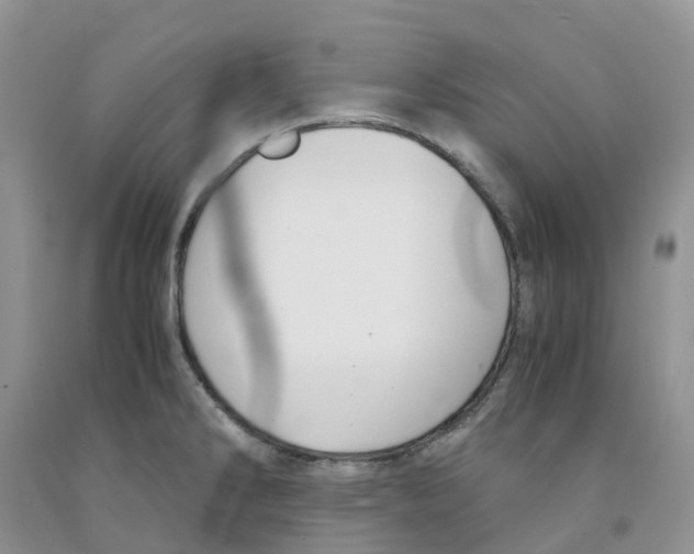 X0000091301286200709071045