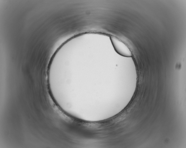 X0000091301287200709071045