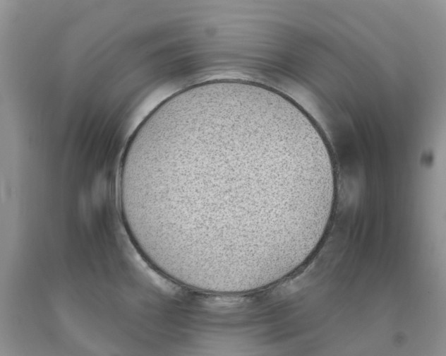 X0000091301290200709071045