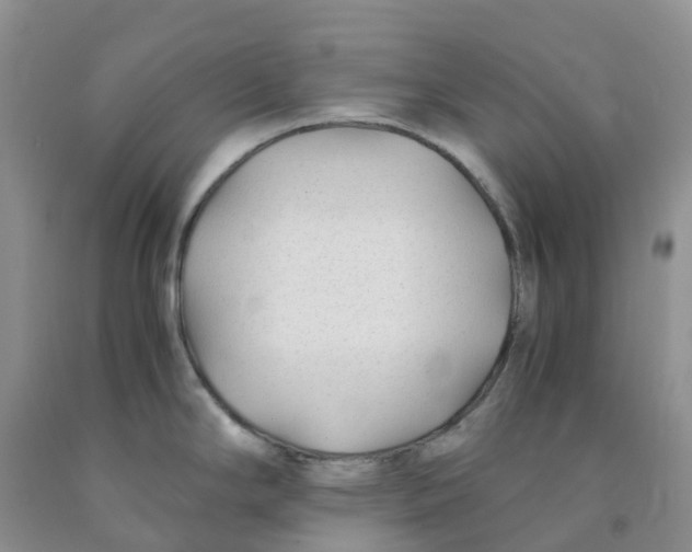 X0000091301294200709071045