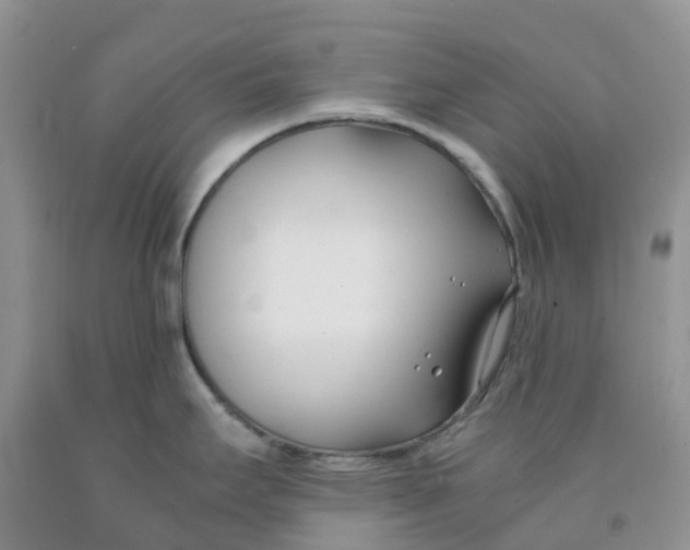 X0000091301295200709071045