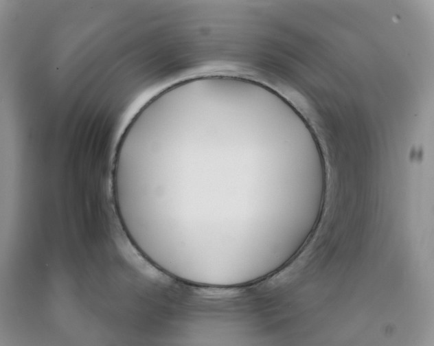 X0000091301296200709071045