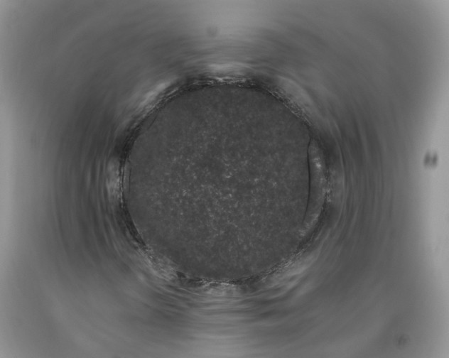 X0000091301298200709071044