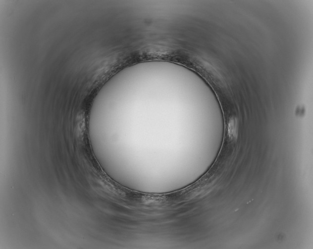 X0000091301299200709071044