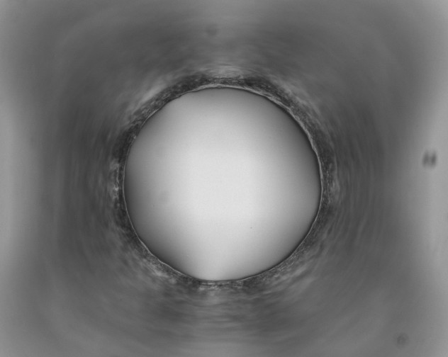 X0000091301301200709071044