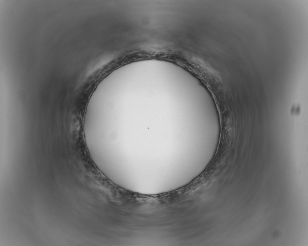 X0000091301302200709071044