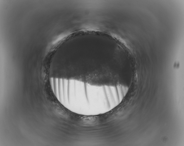 X0000091301303200709071044