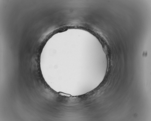 X0000091301304200709071044