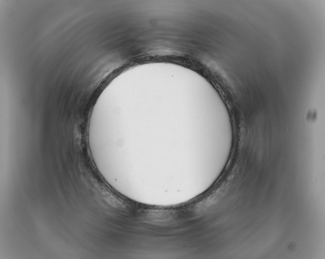 X0000091301305200709071044