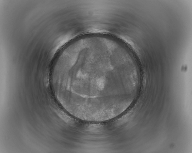 X0000091301306200709071044