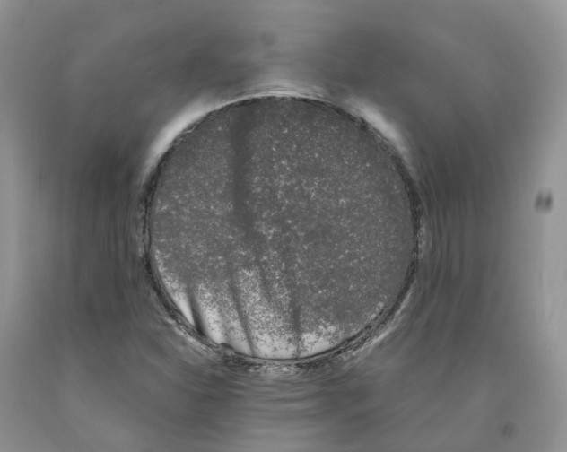 X0000091301310200709071044