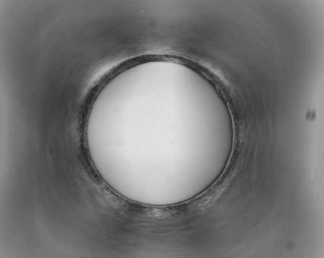 X0000091301311200709071044