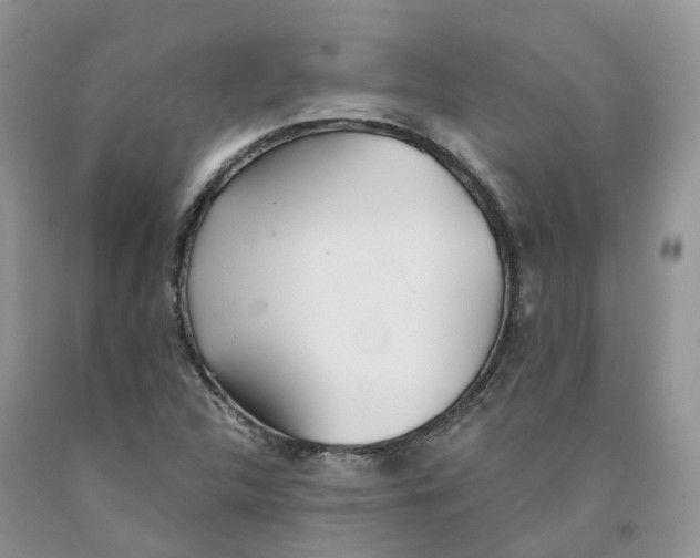 X0000091301312200709071044