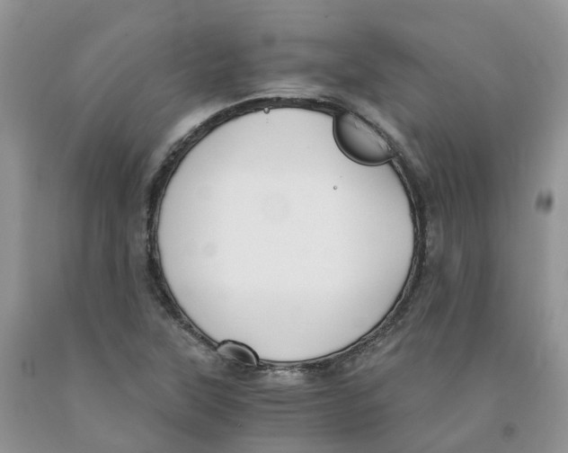 X0000091301315200709071044