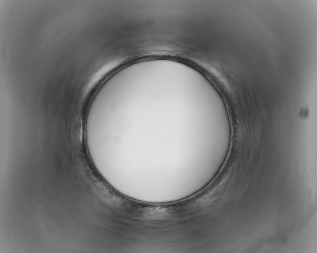 X0000091301317200709071044