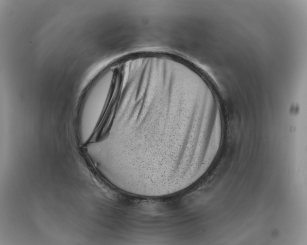 X0000091301319200709071044