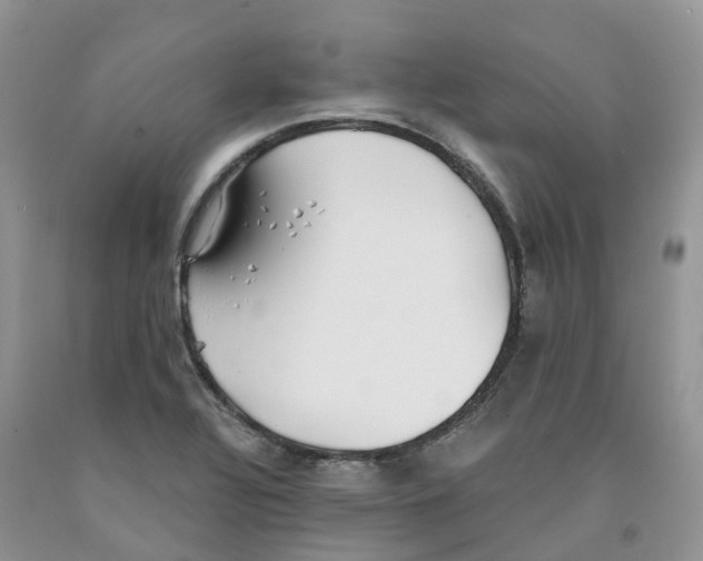 X0000091301320200709071044