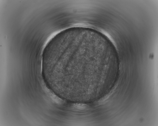 X0000091301323200709071044