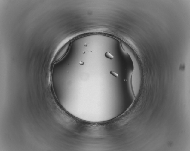 X0000091301324200709071045