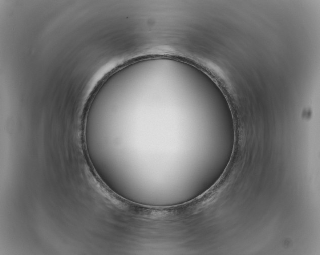 X0000091301326200709071045