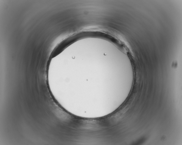 X0000091301328200709071045