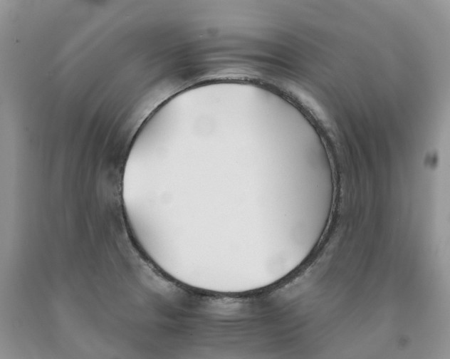 X0000091301329200709071045