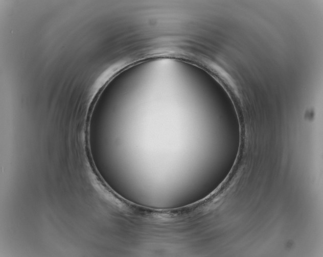 X0000091301330200709071045