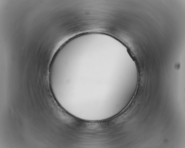 X0000091301332200709071045