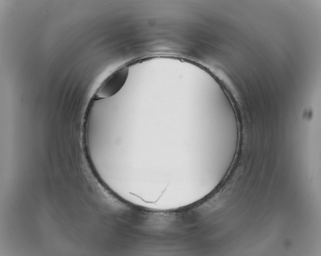 X0000091301333200709071045