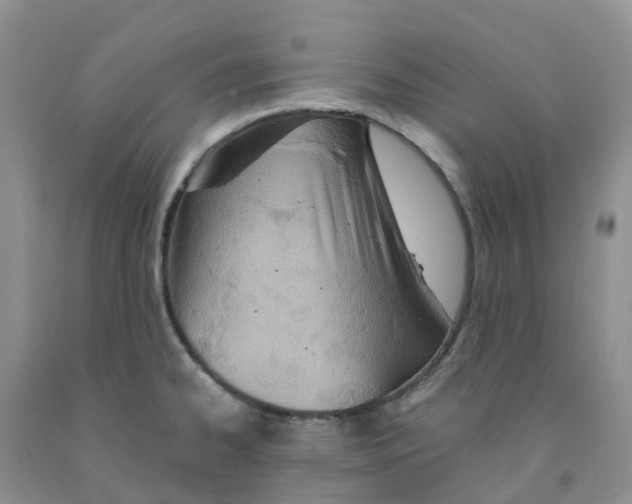 X0000091301334200709071045