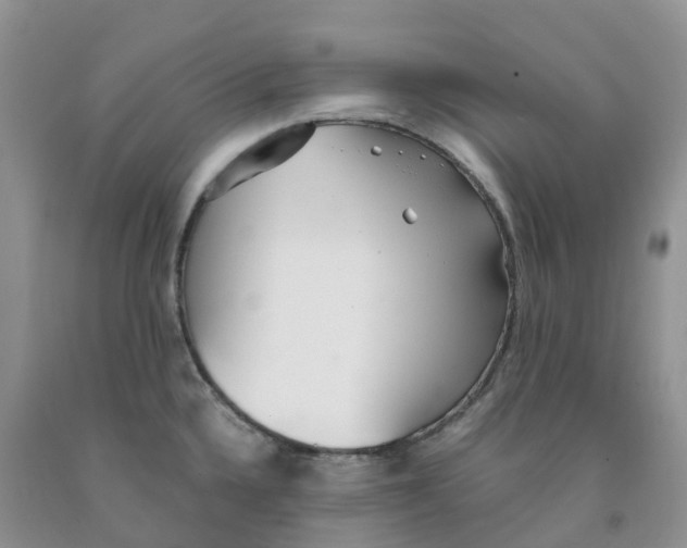 X0000091301336200709071045