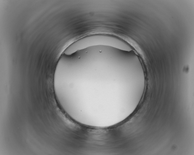 X0000091301337200709071045