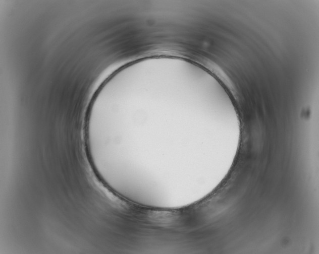 X0000091301339200709071045