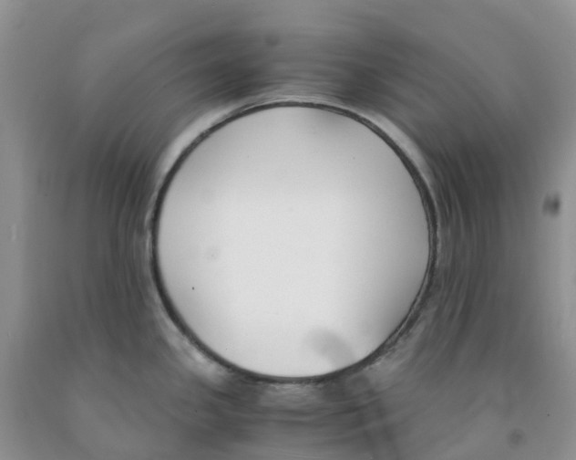 X0000091301341200709071045