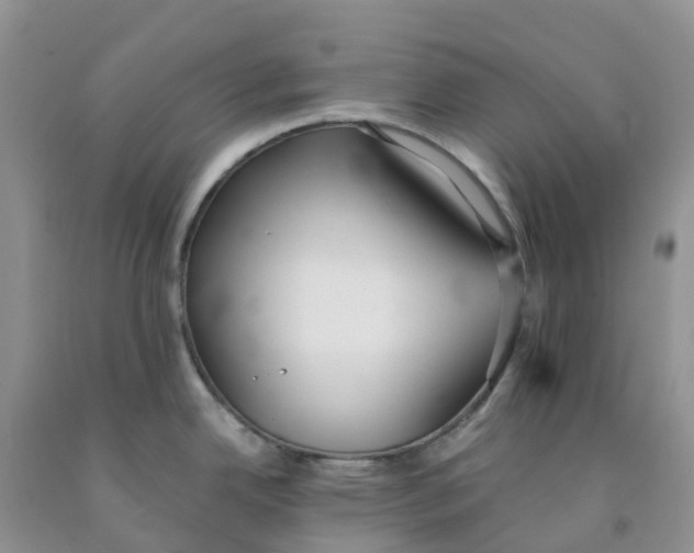 X0000091301342200709071045