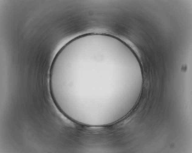 X0000091301343200709071045