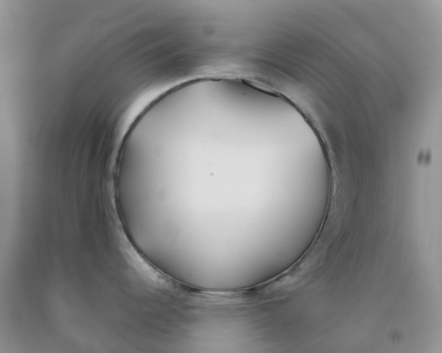 X0000091301344200709071045