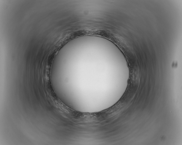 X0000091301346200709071044