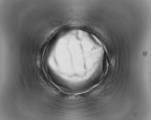 X0000091301348200709071044