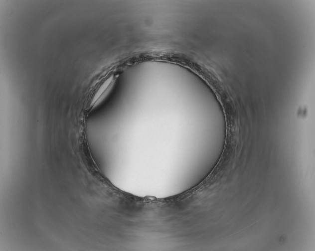 X0000091301349200709071044