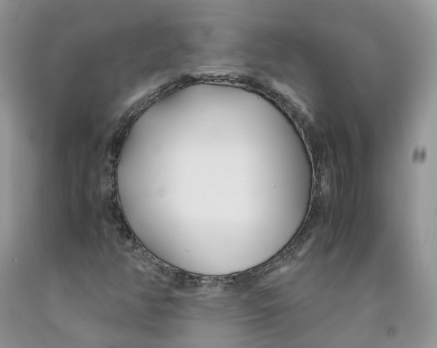 X0000091301350200709071044