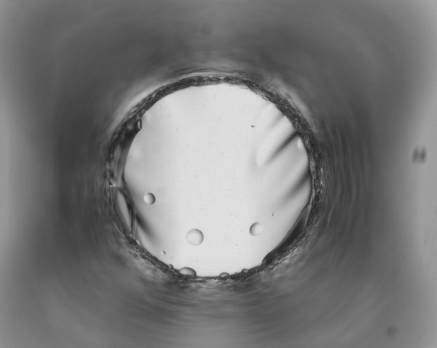 X0000091301352200709071044