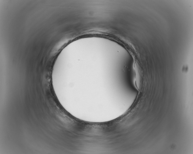 X0000091301355200709071044