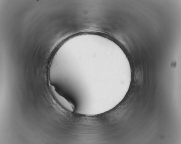 X0000091301356200709071044