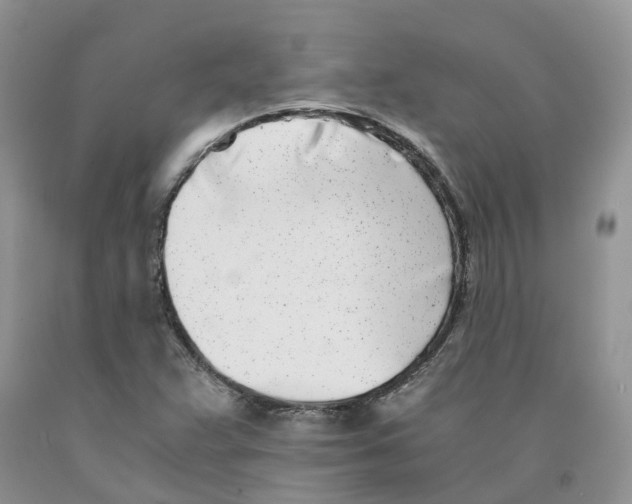 X0000091301359200709071044