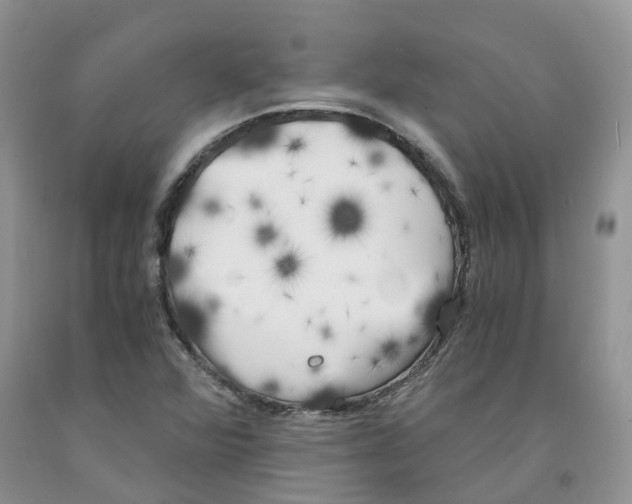 X0000091301360200709071044