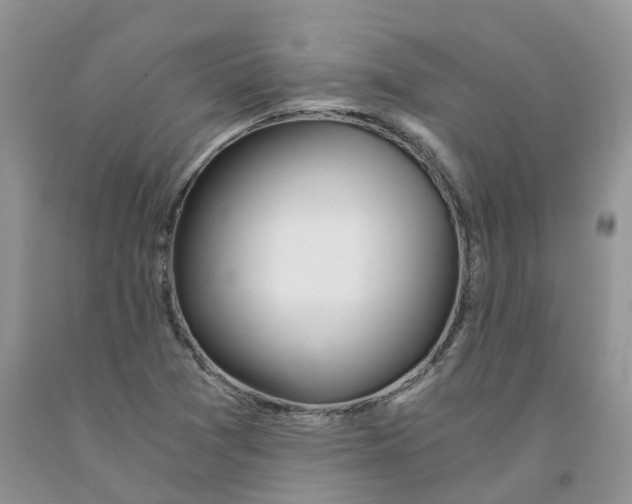 X0000091301361200709071044