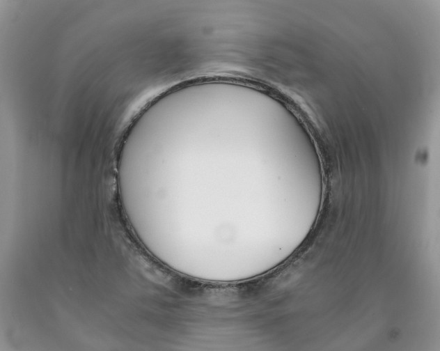 X0000091301363200709071044