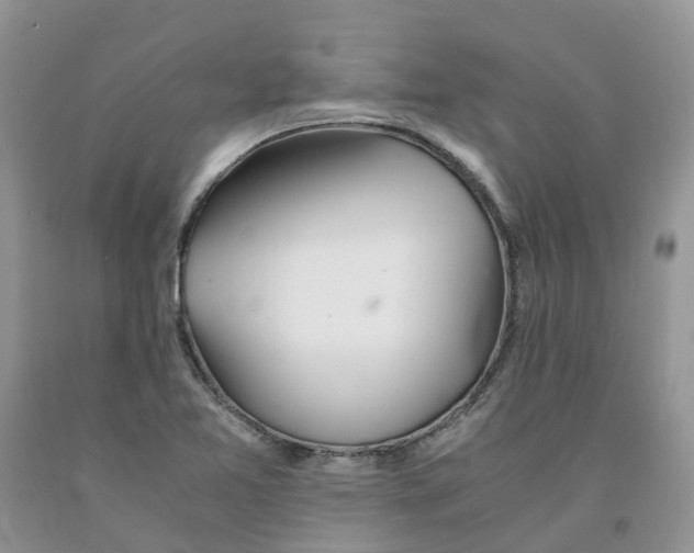 X0000091301365200709071044